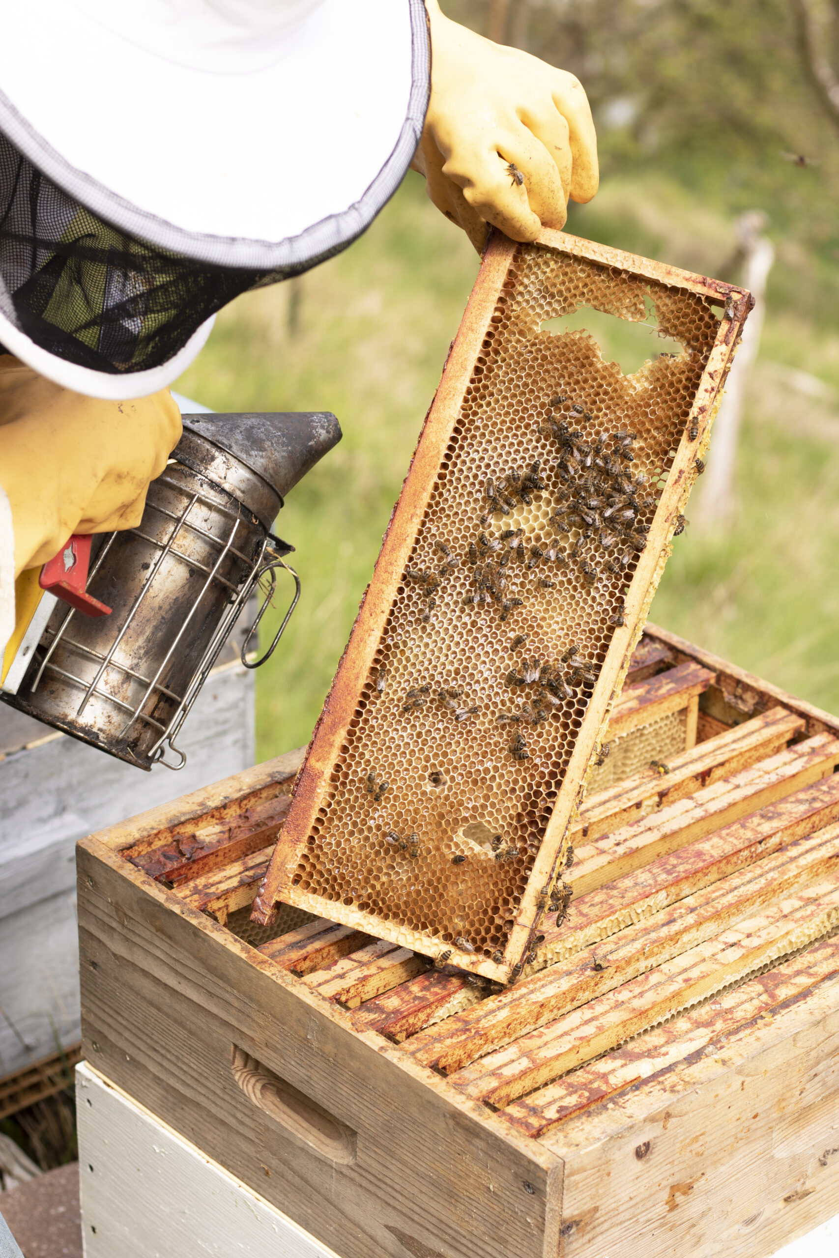 photo réalisé lors de mon bts